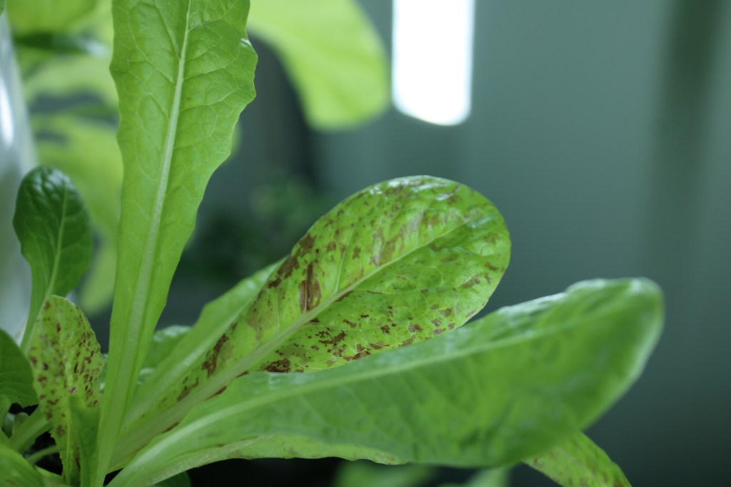 Do people still read&nbsp;blogs?